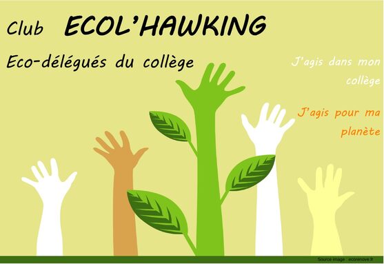 logo club écolhawking.jpg