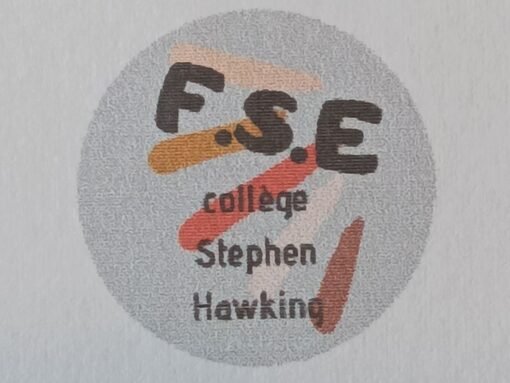 Logo FSE.jpg